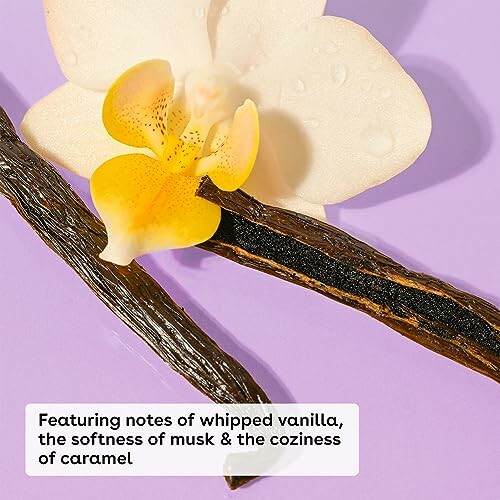 Vanilla flower and pods with description of fragrance notes.